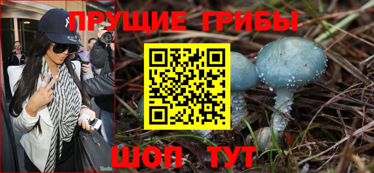 Кохма  Галлюциногенные грибы мухоморы  Вход с VPN  Галлюциногенные грибы MAGIC MUSHROOMS 