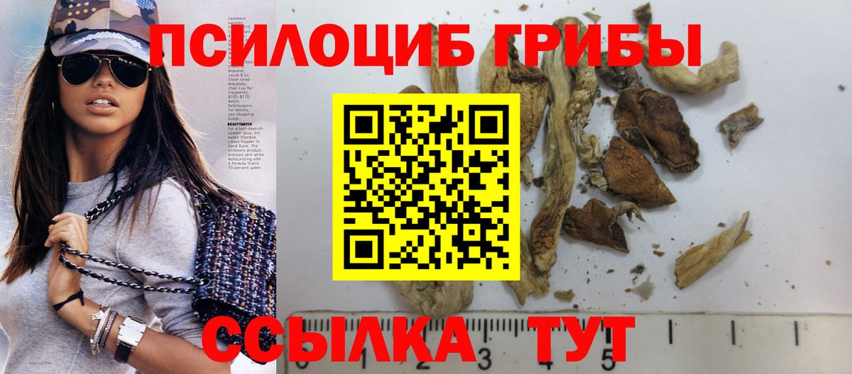 Псилоцибиновые грибы MAGIC MUSHROOMS Кохма